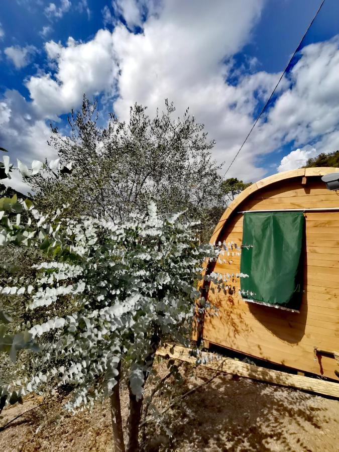 Tiny Cottage Casa Uccello Априкале Екстериор снимка